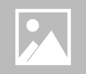 kaiyun-双线突破，Ming十二场得分狂潮与德国队极限挑战下的竞技新章，Ming狂飙十二场与德意志战车双线争锋，共启竞技新纪元